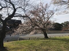 ではここで
京都御苑の桜も少しだけ

「桜松」


3月27日にして
まだ蕾の
車返桜以外は
京都御苑の桜
見頃を過ぎておりました。