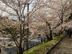 京都御苑の次は
地下鉄を乗り継いで蹴上へ

京都でこの時期
着物姿のカップルが最も多い場所
インクラインへ