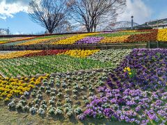 奥に見えるドームでは熱帯植物も見られます。