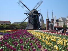 フラワーロードは花畑と風車でオランダっぽい！
でもチューリップは時期が終わり枯れてます(*_*;

