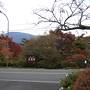 秋の箱根、湯河原紅葉巡り