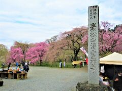 臨済宗建長寺派「岩松山清雲禅寺」です