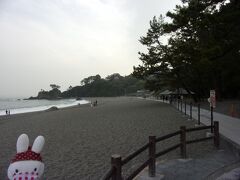 桂浜ナウヽ(^o^)丿。
松の木があると日本的ビーチの雰囲気を出してます。