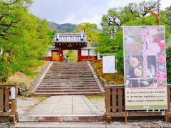 霊鑑寺