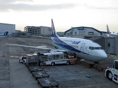 飛行機での移動