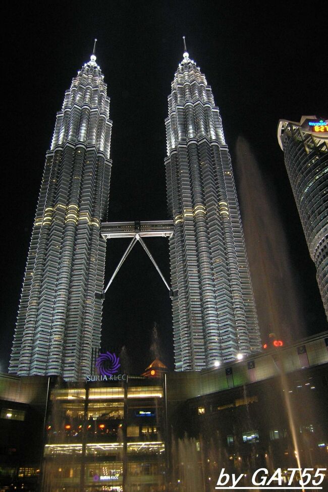 ペトロナスツインタワーの夜景。