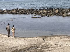 能登半島国定公園雨晴海岸