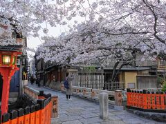 巽橋の周囲も満開です。