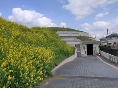 11:25　将軍山古墳には展示館が設置（入場料は博物館本館と合同で200円）
6世紀後半の古墳