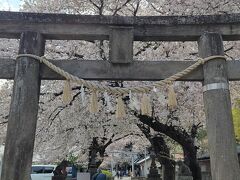 12:40　前玉神社（さきたまじんじゃ）

参道の真ん中にバックをドーン！
歩いて行っても除けないし、我が物顔で撮影している人ってイラっとしちゃう！