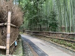 先ずは竹林の小路をテクテクと野宮神社へ向かいます。。
何度も嵐山には来ているけれど野宮神社さんは初めてなのです(^^;
