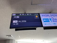 福岡～大阪　JAL2056便
修行僧先輩方はこちらを旅行記に載せてますね。
やっと撮った。