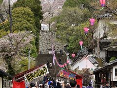 　花見客でにぎわう津山城跡の登城口。駐車場は津山城跡下の観光センターと近くの広場に臨時駐車場が設けられていた。一回600円。時折満車になることも。有料ゾーンは食べ歩き禁止だが、無料エリアには露店も並んでいた。満開から散り始めといった感じだが、見応えは十分だ