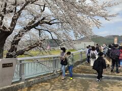 白石川堤一目千本桜