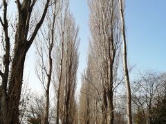 花粉対策in北海道2 北海道の旅行記 ブログ By Uriepさん フォートラベル