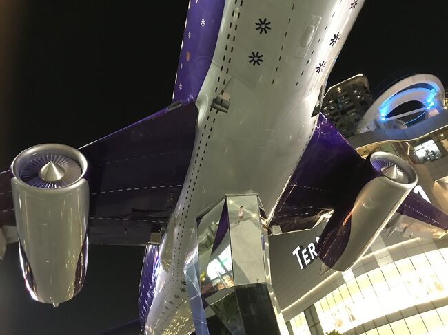 大きい飛行機は触れません。