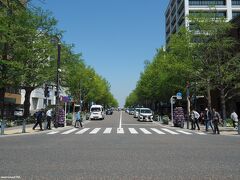日本大通り　横浜公園横の交差点

イチョウ並木の新緑も綺麗です。