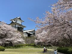 石川門とたくさんの桜が目の前に現れました。