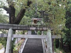 市街を離れ、今日のポイント「伊豆山神社」に移動。北条氏の時代には”伊豆権現”として宿坊などが立ち並ぶ街の様になっていたが豊臣秀吉が小田原攻めの際ここも全山焼き討ちしたというひどい歴史があるそうだ。
