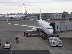 という期待は見事外れ、新千歳空港になってしまいました(-_-)

しかも朝6時20分発という早朝便でした。自宅の鎌倉からは初電に乗っても間に合わないため実家に前泊しました。
