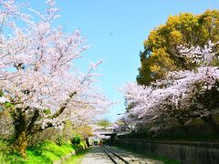 インクライン
https://biwakososui.kyoto.travel/midokoro/214

琵琶湖疏水による舟運ルートの一区間をなしていた傾斜鉄道（インクライン）にやって来た～廃線の両脇に咲き誇る桜が見事な桜の名所。
いやいや名所だけあってか朝から人がいっぱい来てたねぇ( ;∀;)