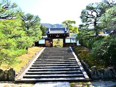 霊鑑寺

哲学の道からひょいと入ったところにある霊鑑寺。
ここは普段は非公開だが、椿寺とも言われる霊鑑寺は椿イベントが開催される頃は一般公開されるので、是非見学したいと思いこの旅を考えたというぐらいの場所。
