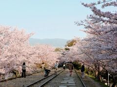 地下鉄蹴上駅そばの「インクライン」は、桜の名所です。
琵琶湖疎水の急斜面で、船を運行するために敷設された傾斜鉄道の跡地です。
舟の行き来がなくなった後、文化財の指定を受け、観光名所に。