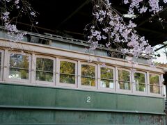 桜の向こうに、日本最古の電車と言われる京都電気鉄道の車両が保存展示されています。
真っ先にsomtamさんを思い出しました(*^-^*)