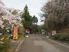 朝一番、オープンと同時に入園。
「甲山ふれあいの里」
入園料　８００円／大人
駐車料　無料

ここに来るのは１０年ぶり。
忘れもしない東日本大震災が起きた年だったから。
夫が復興支援の石巻出張から帰った時、ご近所の方が一緒に行こうと誘って下さったのです。
その誘って下さった方は、去年亡くなられました。
ちゃみお夫婦が「第３の父」と慕っていた方でした。
１０年の間に色々な事があったなと、しみじみ思ふ・・・。