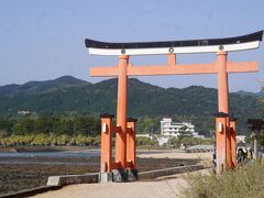 青島神社の鳥居。

朝は海岸方面から青島を見ると逆光になります。