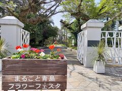 青島の入り口には植物園。
時間もないのでパス。