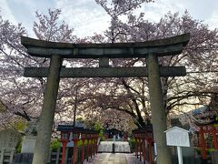 六孫王院神社へ

こちらは
桜を愛でる人はまばら