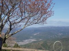 ケーブルカーの終点のケーブル比叡につきました。
眼下に広々とした景色が望めます。
桜の梢は薄っすらと春の色に飾られていました。
でも予想通りまだ蕾の状態です。
満開には早すぎる比叡山でした。
元気のある人はここから瓦を投げるのでしょうか。
遠くに投げられると気持ちがいいでしょうね。

ところでこのケーブルカーは日本最古の
ものだと聞いたことが有ります。
昔はブルトーザーやシャベルカー等の重機が
無い時代でしたからすべて人力で建設したと
アナウンスされていました。
昔の日本人の勤勉さと技術力の高さに頭が下がる
思いがしました。