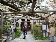 こちらは、緑の桜・御衣黄で有名な雨宝院です
弘法大師を開基とするお寺です
西陣の街の中にあり、観光客では到達するのが難しいですね
