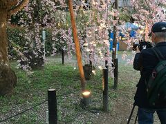 17：30　清雲寺着で少し待ちます。
17：50くらい～点灯されましたが、周囲は未だ暗くなってはいないので、
イマイチ、ちゅうかぁ、イマサンくらいライトアップの効果は窺えません。
それに、地面から上に向けて数少ないライトで照らすだけなので、多分そんなに仰々しい光の競演にはならないんだろうな、と思いました。