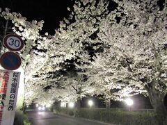 長瀞北通りライトアップ