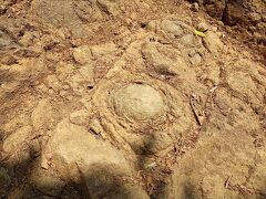これは、牡丹岩。
球体の岩、牡丹の花のように見えるところから、名付けられたと看板あり。
きっとコレだよねと娘と探しながら登っていくと、いくつか見つけることできました。