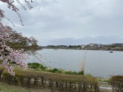 千波湖に到着。
遠くに偕楽園が見えます。