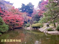 　山手線目黒駅近くの国立科学博物館附属自然教育園。社宅から徒歩圏内でよく散歩に来ました。