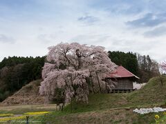 2021.4.6
郡山市
上石の不動桜。
樹齢350年。
福島に来て、最初に撮った桜・・・あれから10年は経っているような?
こんなに大きな桜だっけ?の印象でした^^;