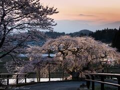 2021.4.3
二本松市
中島の地蔵桜。
夕景とライトアップ点灯直後。
雪山が遠くで見れたら最高なんだけど、なかなか、そんな上手い時期に出くわすことが出来ず。