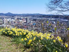 「釣山公園展望台」より、駅方面を眺む。
水仙も見慣れた花であるが、旅に彩りを添える。