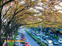 　原宿駅から青山通りに至る表参道。秋には大きな街路樹が見事に色づきます。