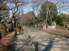 　有名人が多数眠る青山霊園。忠犬ハチ公の墓も主人である東大教授上野英三郎氏の墓に並んでいました。有名人の墓の写真を何枚も撮ったのですが残ってません。