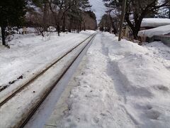 そろそろ列車の来る時間になったので，ホームに出てみました．春になると桜のトンネルになるようです．