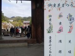 仁和寺の開花情報では
ツツジは「見頃」
御室桜は「満開」となっています。