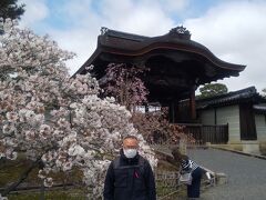 花の下にて春…。
チョッピリ西行さんんになったような
気分がしてきました。