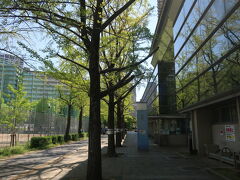 下福島公園に入りました。
大阪市立の下福島プールが右側です。