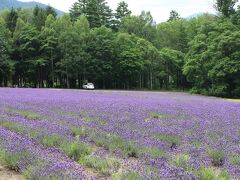 約1週間が過ぎた7月19日の午後、富良野方面へドライブしました。目的地はハイランドふらの（富良野市）です。富良野市街地から国道38号線を進み、車で約15分で着きました。