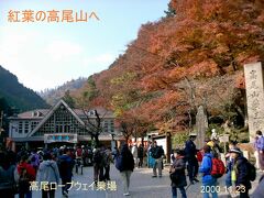 　２０００年１１月２３日、高尾山へ。新宿から京王線で１時間。紅葉の時期でロープウェイ駅は行列が出来てました。